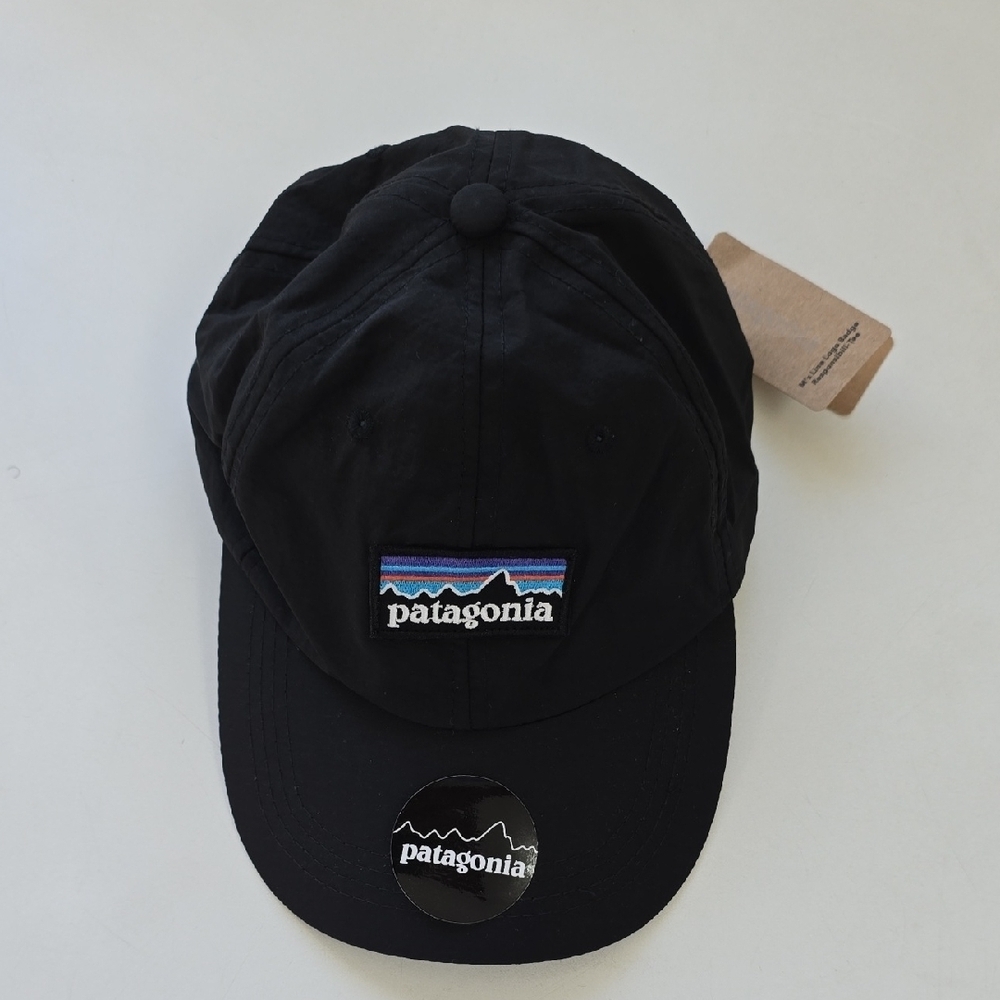 Patagonia Black Logo Cap